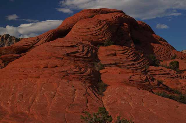 snow canyon